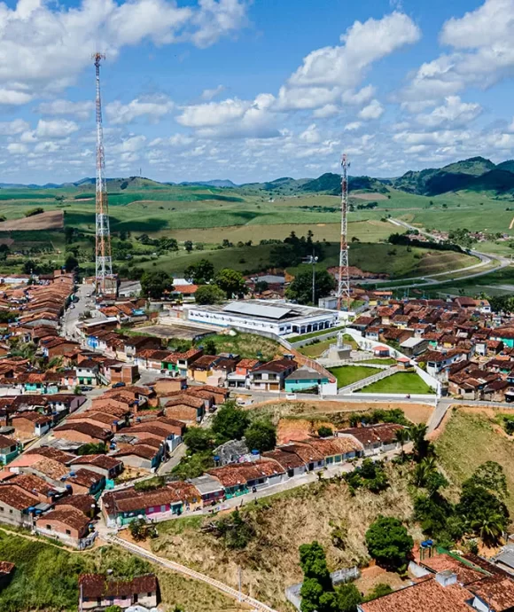 Novo Lino